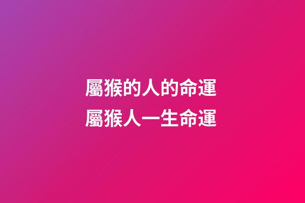 屬猴的人的命運 屬猴人一生命運